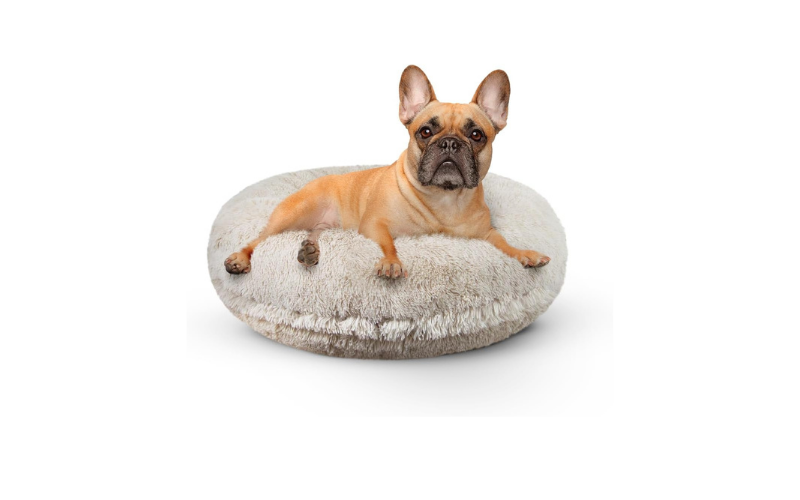 Bessie and Barnie Dog Beds