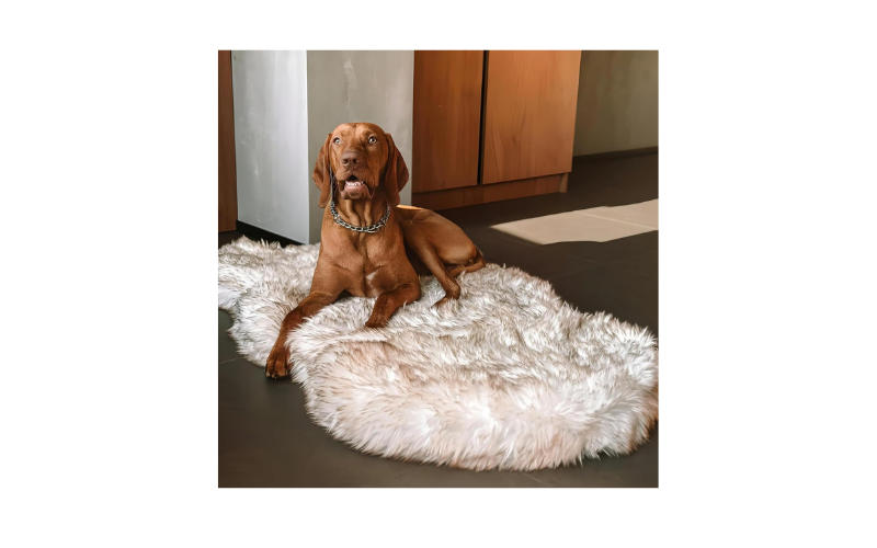 Sheepskin Dog Bed