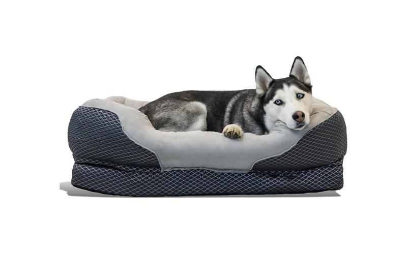 Dog Beds for Sausage Dogs