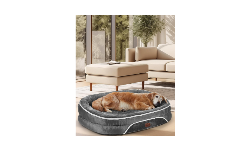 Amazing Dog Beds