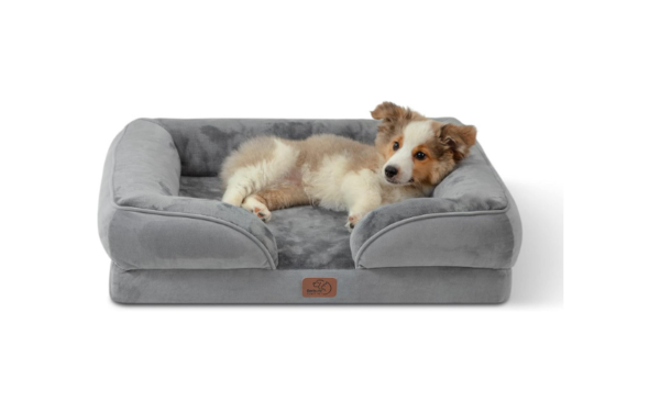 Custom Dog Beds